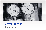 壓力系列儀表